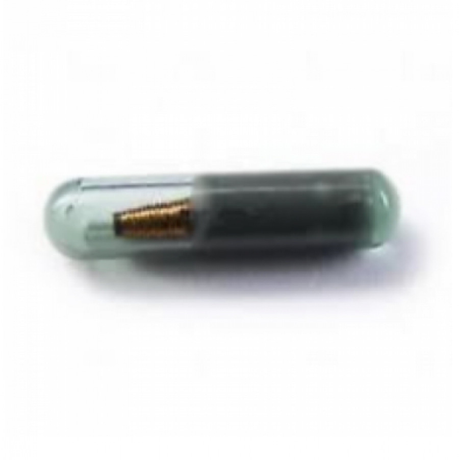 Glass Transponder Chips
